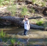 child wading in creek